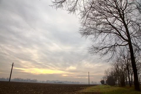 Bare trees that borders two field in late autumn in the italian countryside Stock Photos