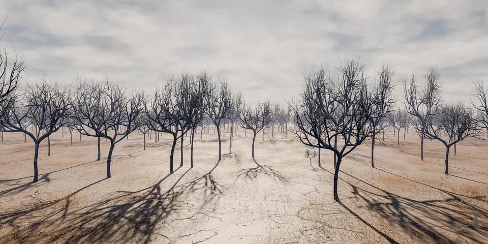 Bare trees casting long shadows on a desert landscape at midday 3d render Stock Illustration
