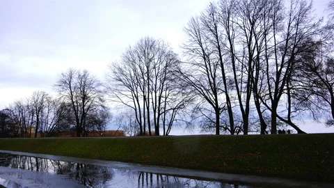 Bare trees on a cold autumn evening Stock Footage 90234060