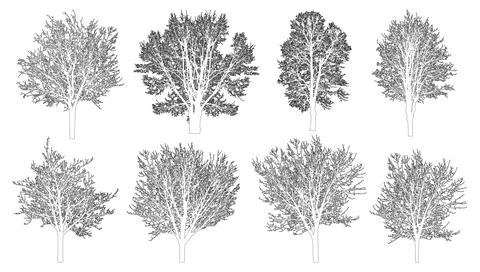 Bare trees contour, set. Beautiful leafless trees.  Vector illustration Illustrazione stock