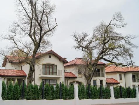 Bare trees at the cottages. Stock Photos