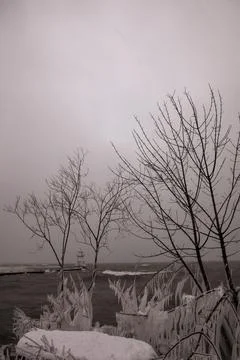 Bare trees covered in snow with a lighthouse and water in the background and an Stock Photos