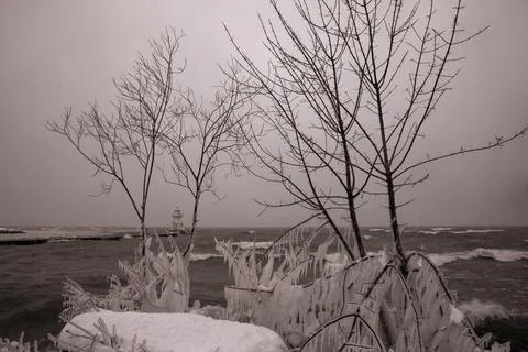 Bare trees covered in snow with a lighthouse and water in the background and an Foto stock