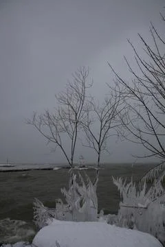 Bare trees covered in snow with a lighthouse and water in the background and an Stock Photos