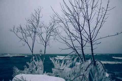 Bare trees covered in snow with a lighthouse and water in the background and an Foto stock