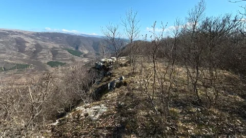 Bare trees dot rugged hillside under clear blue sky. Kozji Kamen Viewpoint Видео 331813727