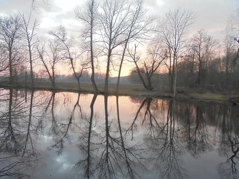 Bare trees during cloudy sunset reflecting in pond. Stock Photos