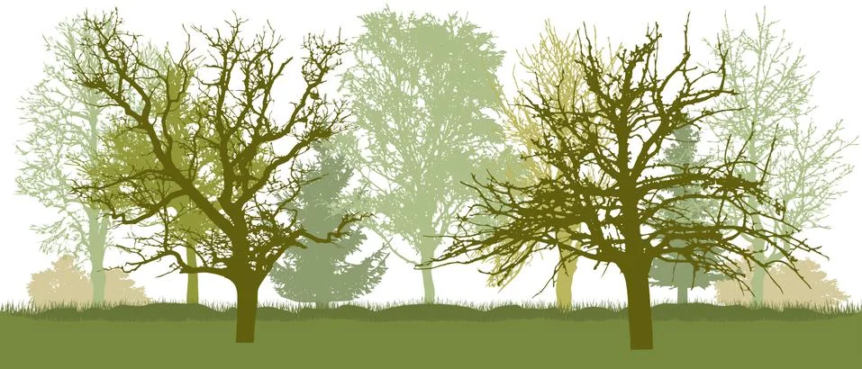 Bare trees, early spring park. Vector illustration. Ilustración de archivo