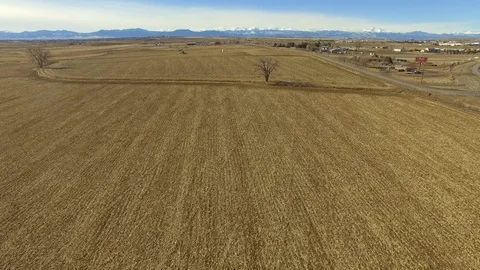 Bare trees on field by road and buildings in village against sky - Thornton, Stock Footage 119372695
