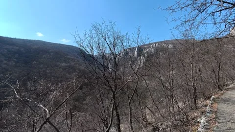 Bare trees frame a deep, sunlit canyon. Balkan, Eastern Europe, POV Vidéo 331432964