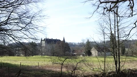 Bare trees, green grass in the Dutch countryside and Schaloen castle Stock Footage 149267819