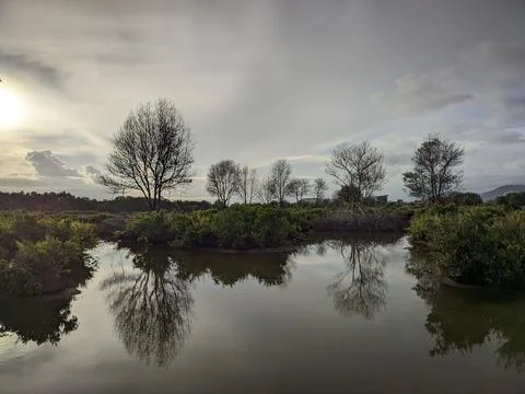 Bare trees mirroring in tranquil waters under a cloudy sky creating a peace.. 스톡 사진