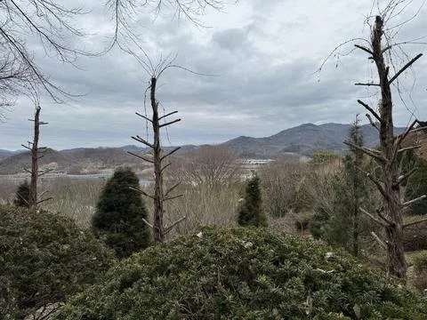 Bare trees overlooking mountainous valley Stock Photos