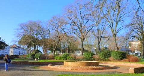 Bare Trees At Parc du Haras On A Sunny Day In Angers, France - wide Stock Footage 233199703