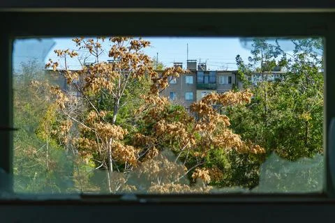 Bare Trees Seen Through Broken Window Stock Photos