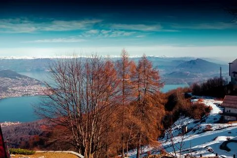 Bare trees on the slopes of the mountains. Stock Photos