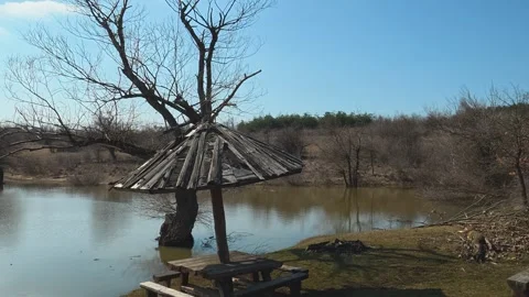 Bare trees stand near a quiet pond. Mount Rtanj Area, Serbia Vidéo 331295195