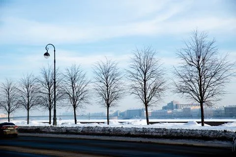 Bare trees stand in a row along a snowy street near the river in the city Stock Photos
