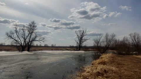 Bare trees standing in melting river water under cloudy sky Stock Footage 333040554