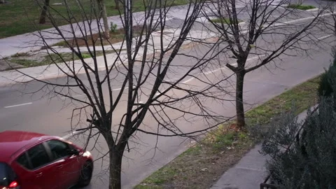 Bare trees by the street in winter night - cars with lights turned on passing by Stock Footage 167667140