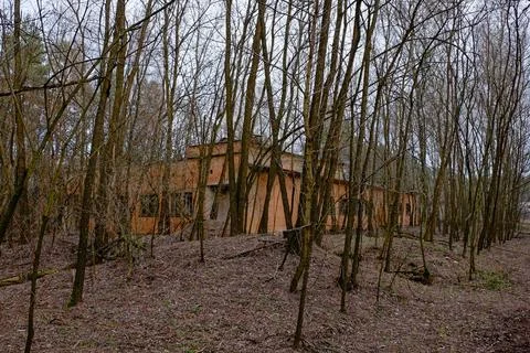 Bare trees surround an isolated, unmarked building. Fotos de archivo