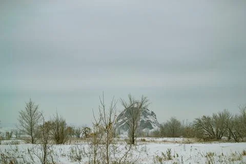 Bare trees in a winter field against the backdrop of a snow-covered mountain Stock Photos
