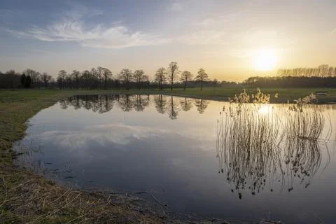 Bare trees in winter with reflection in the still water. Stock Photos