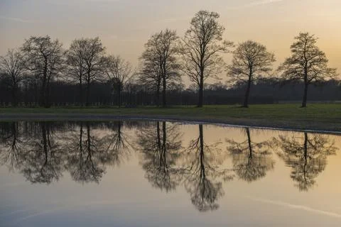 Bare trees in winter with reflection in the still water. Stock Photos