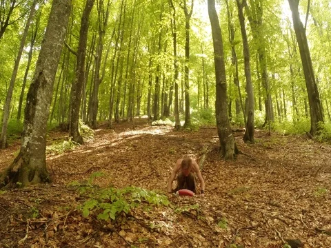 Bare-waisted man stand on his head in the old high green sunny forest overall Stock Footage
