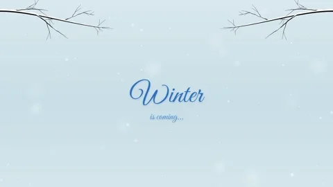 Bare Winter Branches with Gently Falling Snow Stock Footage 347163045