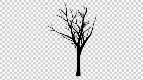 Bare winter tree silhouette isolated on transparent background Illustration