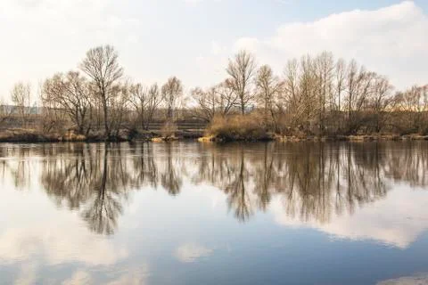 Bare winter Trees casting their Shadow into a River Stock Photos