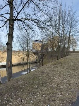 Bare winter trees overlooking canal and grassy hill Stock Photos