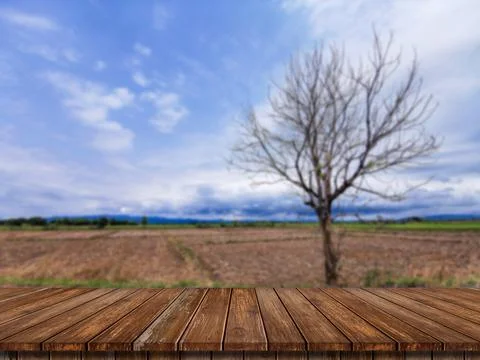 A bare wood floor with fields and trees blurry can be used to edit the trade Stock Photos