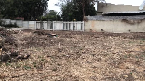 Bare yard, with piles of refuse. hand held. Video stock 252345524