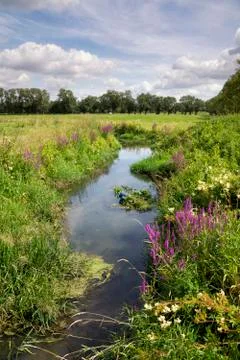 The Barebeek valley Stock Photos