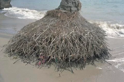 Bared by Heavy Waves Stock Photos