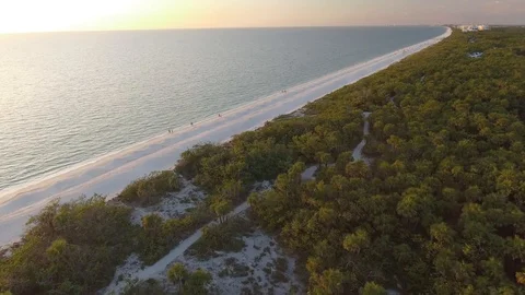 Barefoot Beach E Stock Footage 86840883