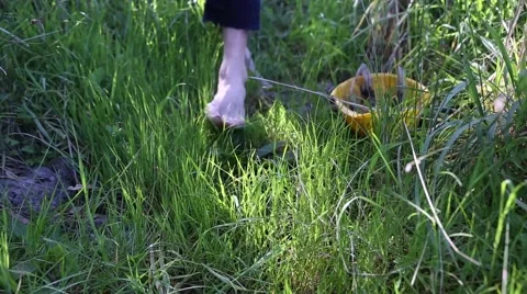 Barefoot Discovery Stock-Footage 40030271