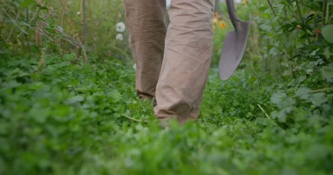 Barefoot farmer walking through field 库存影片 218488383