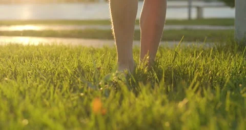 Barefoot feet step on fresh green grass during summer evening. Grounded feeling Vidéo 329865545