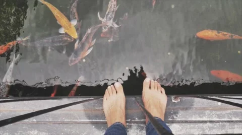 Barefoot fisherman Stock Footage 56620053