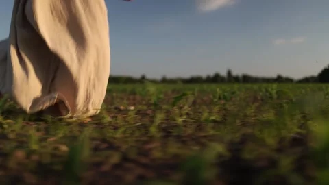 Barefoot on fragile earth Stock Footage 338384329
