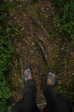 Barefoot moss ground Stock Photos