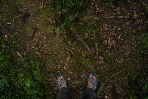Barefoot moss ground Stock Photos