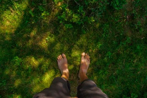 Barefoot moss ground Stock Photos