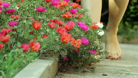 Barefoot on the path Stock Footage 157256900