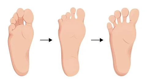 Barefoot shoes care steps vector illustration. Stock Illustration