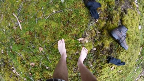 Barefoot On Thick Moss Stock Footage 162081303