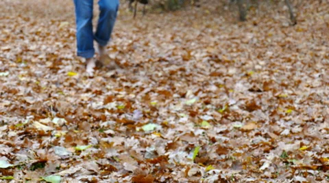 Barefoot through the leaves Stock Footage 56728162